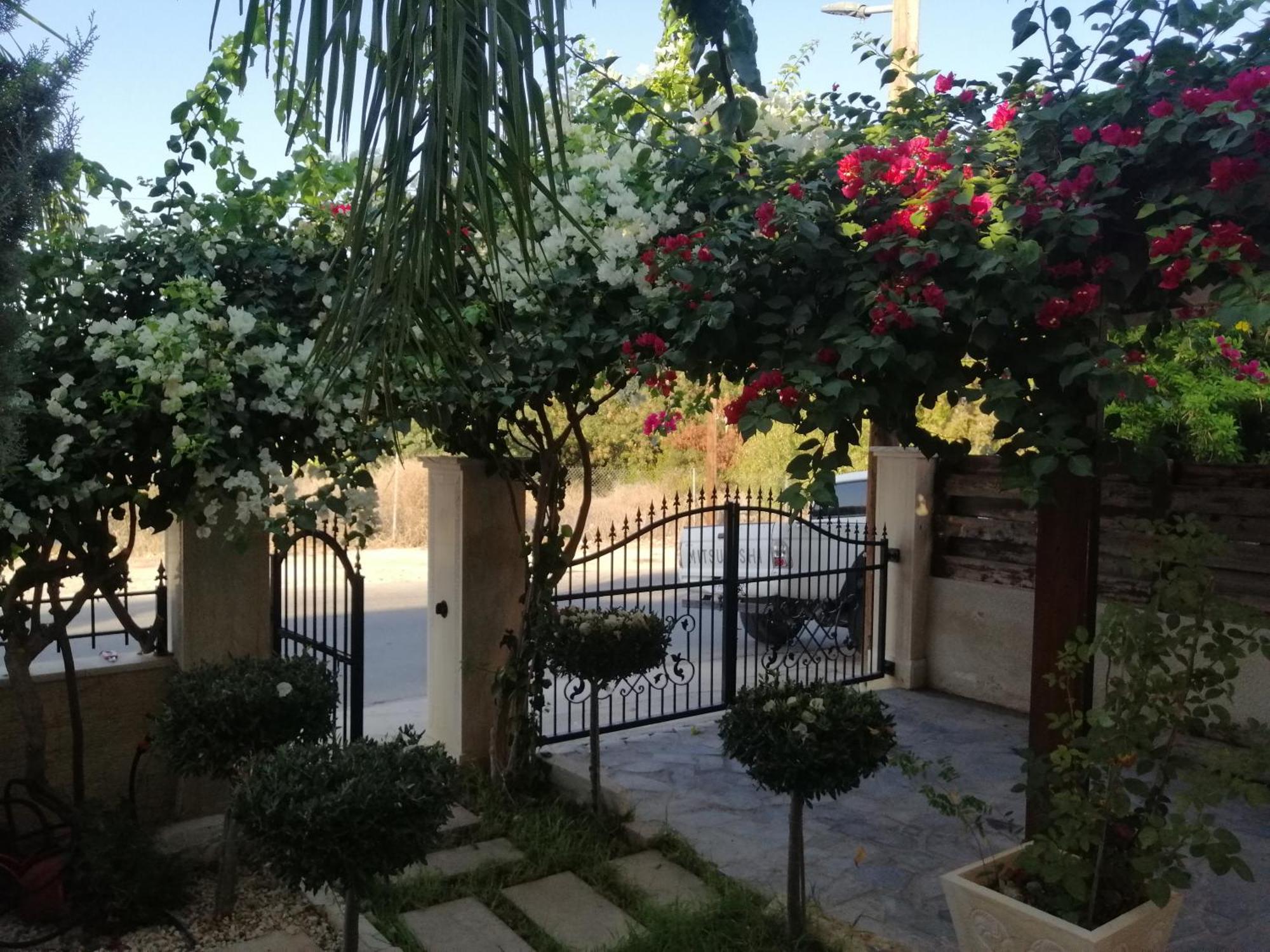 Villa Myria Paphos Cameră foto